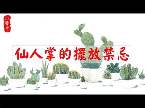 陽台放仙人掌|仙人掌後陽台擺放攻略